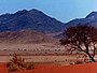 Desert
